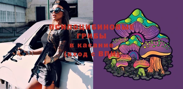 бутират Гусиноозёрск